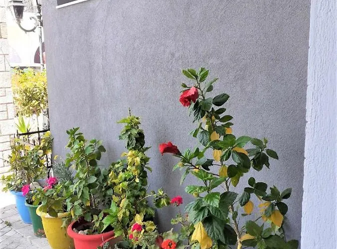 Gæstehus Elpida View Kallithea (Chalkidiki)